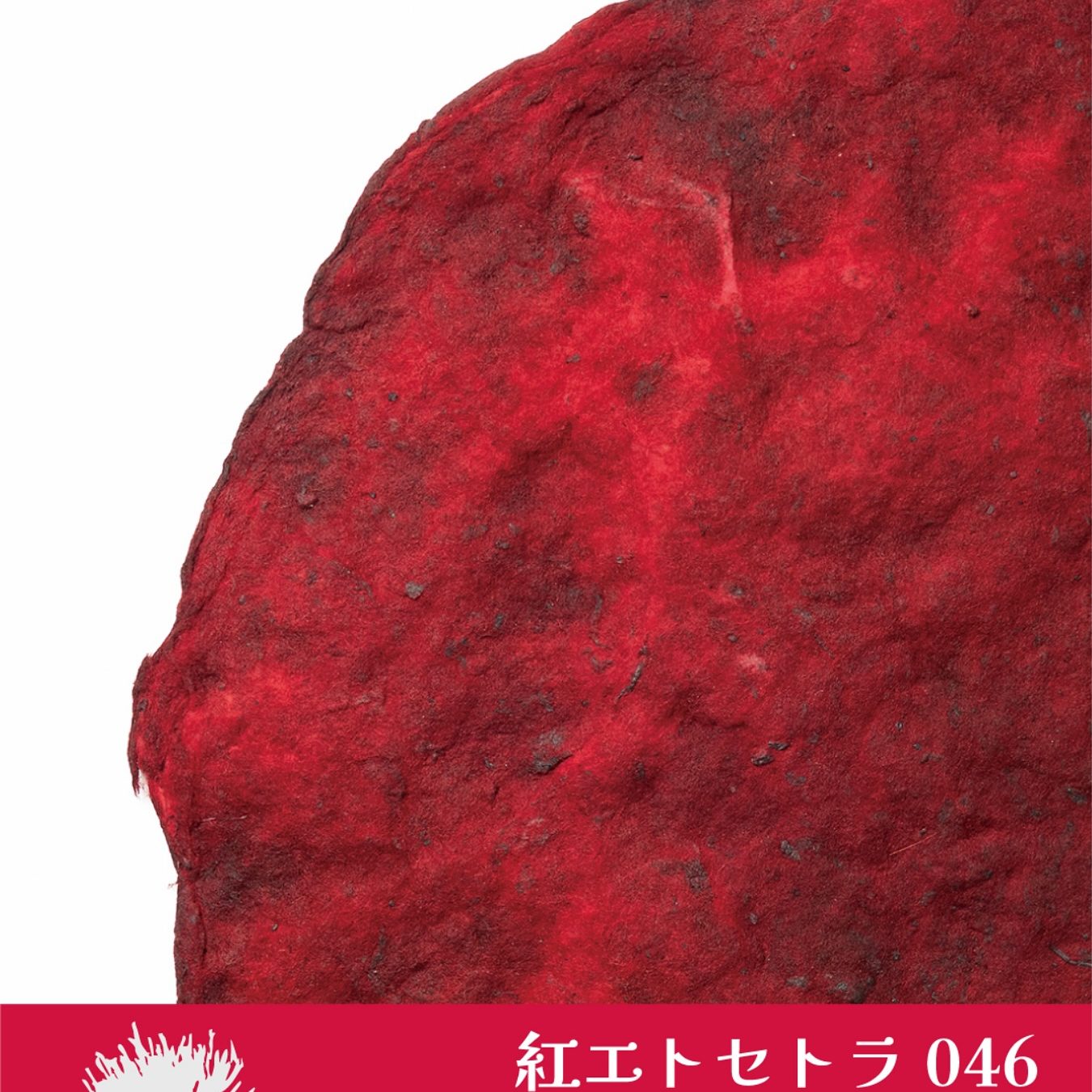 紅エトセトラ046