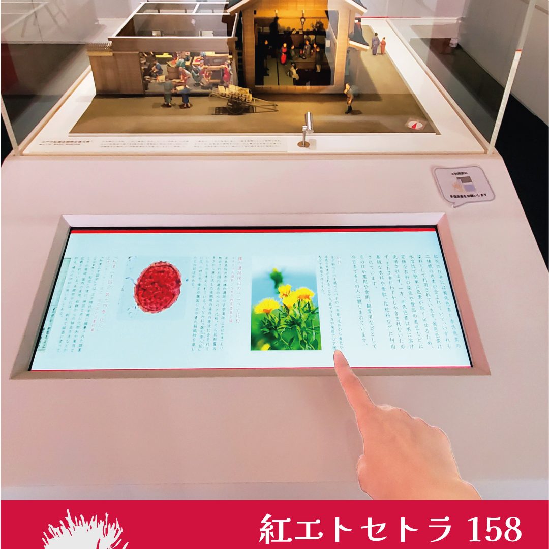紅エトセトラ158